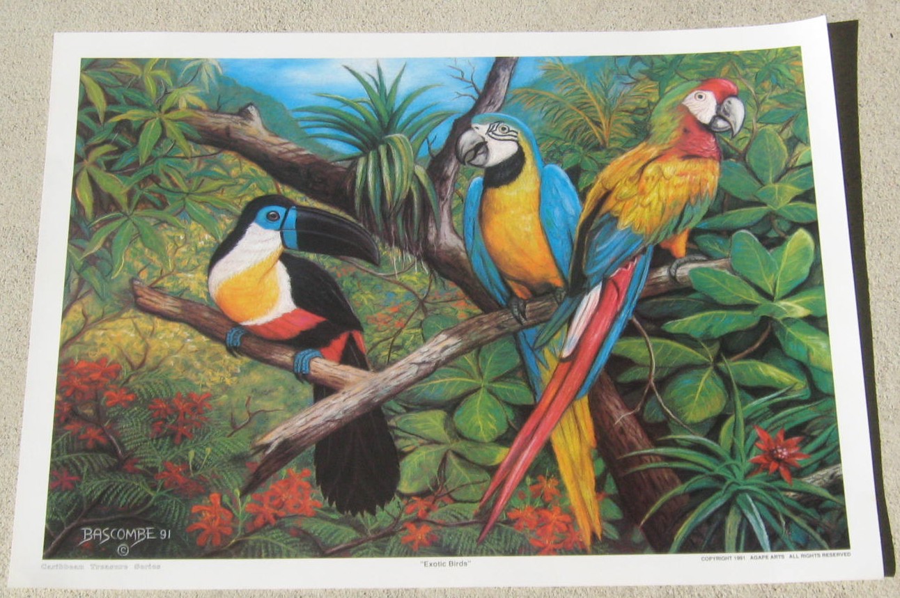 Exotic Birds